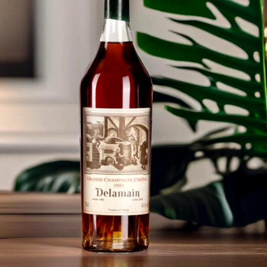 Delamain 1981 Cognac - Grande Champagne - 40% vol/abv.
