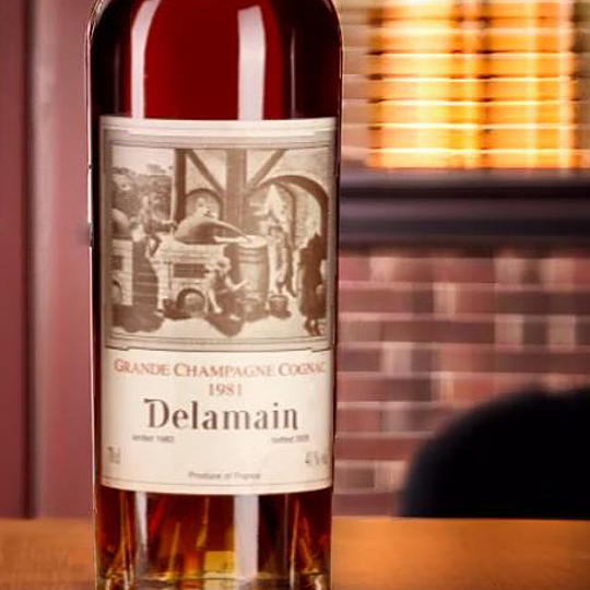 Delamain 1981 Cognac - Grande Champagne - 40% vol/abv.