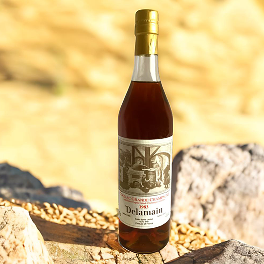 Delamain Cognac 1983 - Grande Champagne - 40% vol/abv.